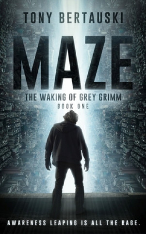 Boek Maze Tony Bertauski
