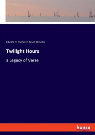Kniha Twilight Hours Sarah Williams