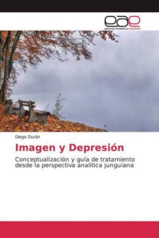 Buch Imagen y Depresión 