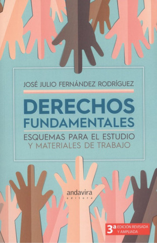 Kniha DERECHOS FUNDAMENTALES JOSE JULIO FERNANDEZ RODRIGUEZ