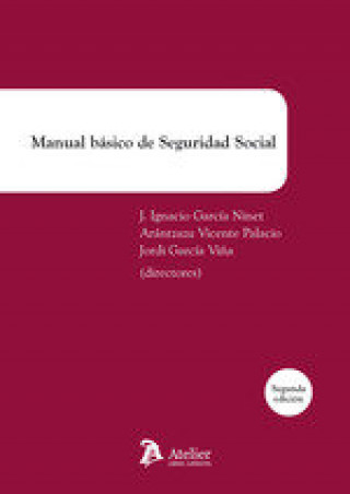 Kniha MANUAL BÁSICO DE SEGURIDAD SOCIAL ARANTZAZU VICENTE PALACIO