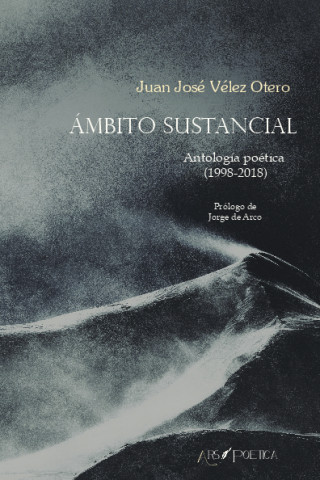 Książka ÁMBITO SUSTANCIAL JUAN JOSE VELEZ OTERO