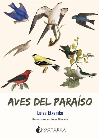 Książka AVES DEL PARAISO LUISA ETXENIKE