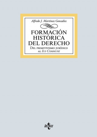 Kniha FORMACIÓN HISTÓRICA DEL DERECHO ALFREDO JOSE MARTINEZ GONZALEZ