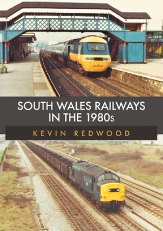 Kniha South Wales Railways in the 1980s 