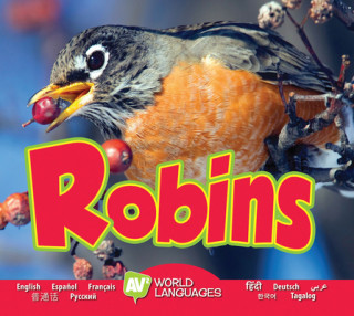 Książka Robins 