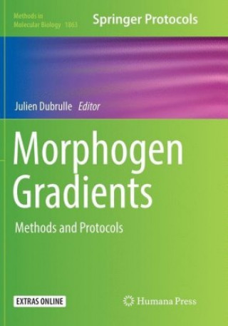 Book Morphogen Gradients Julien Dubrulle