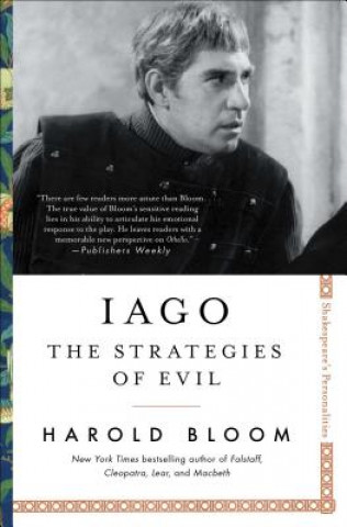 Könyv Iago: The Strategies of Evil 