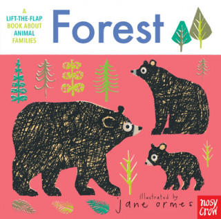 Buch Animal Families: Forest Jane Ormes