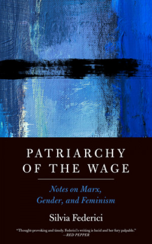 Kniha Patriarchy Of The Wage 