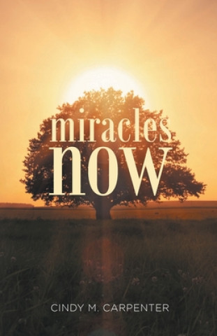 Βιβλίο Miracles Now Cindy M. Carpenter