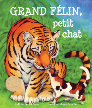 Carte Grand Félin, Petit Chat: (big Cat, Little Kitty in French) Susan Detwiler