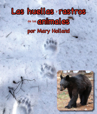 Carte Las Huellas Y Rastros de Los Animales: (Animal Tracks and Traces in Spanish) Alejandra de la Torre