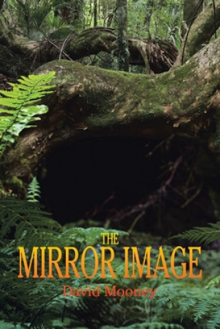 Knjiga Mirror Image David Mooney