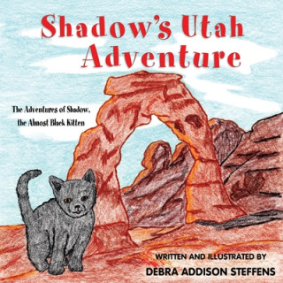 Carte Shadow's Utah Adventure Debbie Steffens