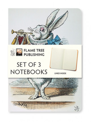 Naptár/Határidőnapló Alice in Wonderland Set of 3 Mini Notebooks 