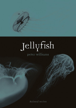 Könyv Jellyfish 