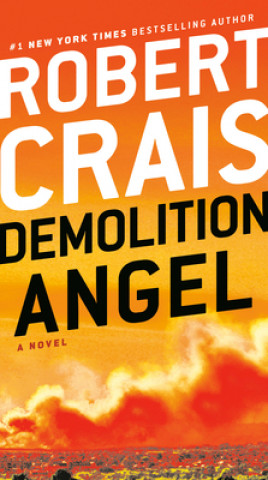 Könyv Demolition Angel 
