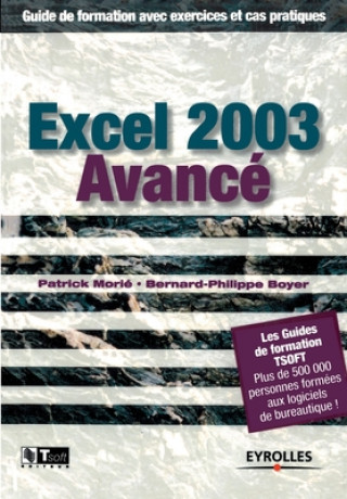 Książka Excel 2003 Avance Bernard-Philippe Boyer
