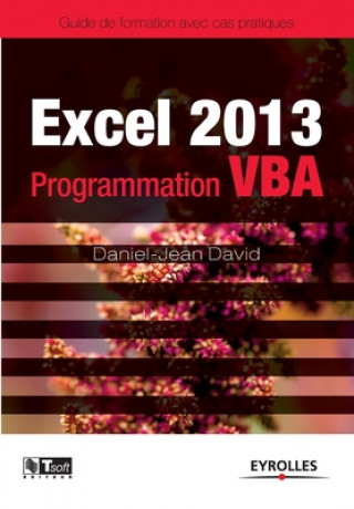 Knjiga Excel 2013 - Programmation VBA Daniel-Jean David