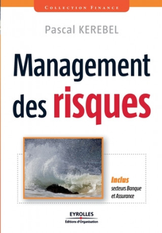 Knjiga Management des risques Pascal Kerebel