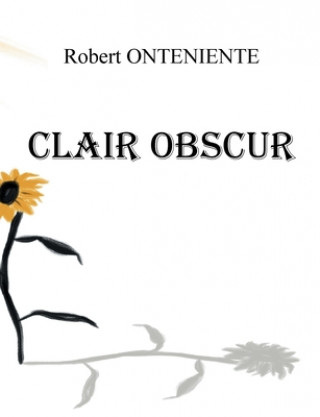 Книга Clair Obscur Robert Onteniente