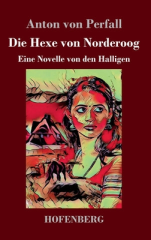 Buch Hexe von Norderoog Anton Von Perfall