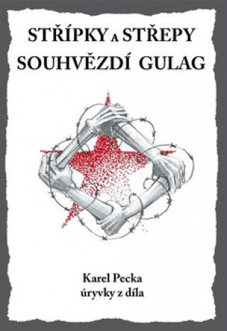 Книга Střípky a střepy Souhvězdí Gulag Karel Pecka