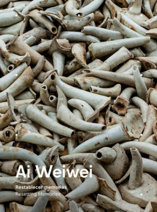 Kniha AI Weiwei: Resetting Memories 