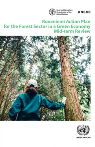 Buch Rovaniemi Action Plan for the forest sector in a green economy 