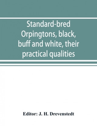 Buch Standard-bred Orpingtons, black, buff and white, their practical qualities; the standard requirements; how to judge them; how to mate and breed for be 