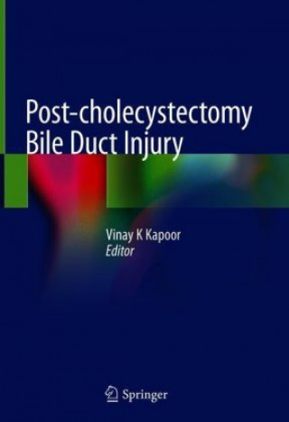 Kniha Post-cholecystectomy Bile Duct Injury 