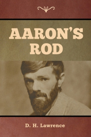 Knjiga Aaron's Rod D. H. Lawrence