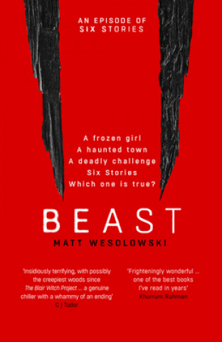 Книга Beast Matt Wesolowski