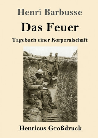 Boek Das Feuer (Grossdruck) Leo von Meyenburg