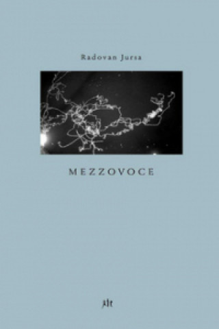 Book Mezzovoce Radovan Jursa
