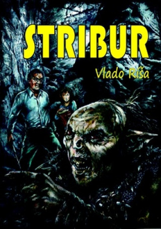 Könyv Stribur Vlado Ríša