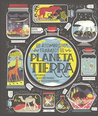 Book PLANETA TIERRA RACHEL IGNOTOFSKY