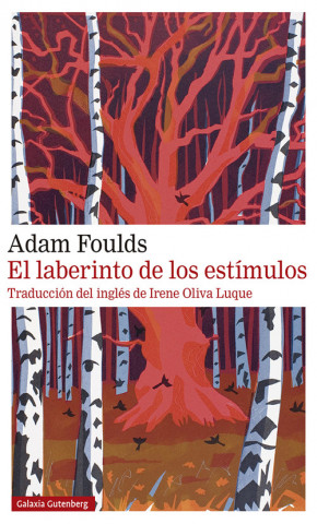 Boek EL LABERINTO DE LOS ESTÍMULOS ADAM FOULDS