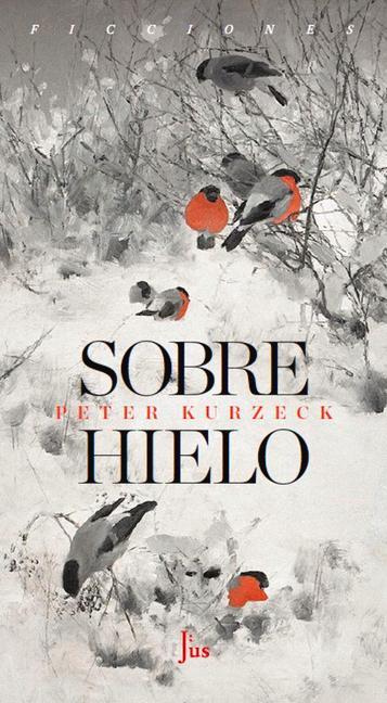 Kniha SOBRE HIELO PETER KURZECK