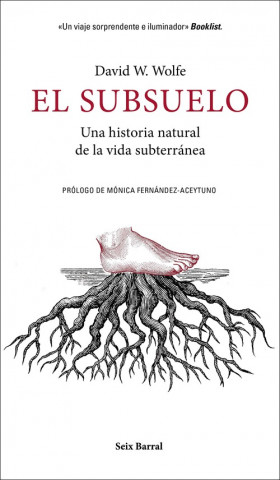 Kniha El subsuelo DAVID W. WOLFE