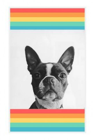 Kniha Boston Terrier Twisted Grounhog Publishing