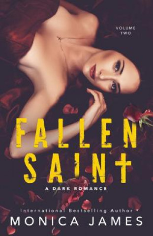 Kniha Fallen Saint: All The Pretty Things Trilogy Volume 2 Monica James