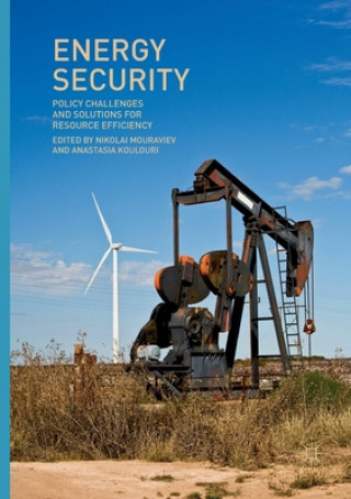 Книга Energy Security Nikolai Mouraviev