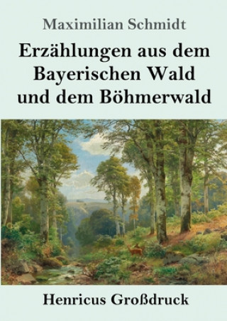 Книга Erzahlungen aus dem Bayerischen Wald und dem Boehmerwald (Grossdruck) 