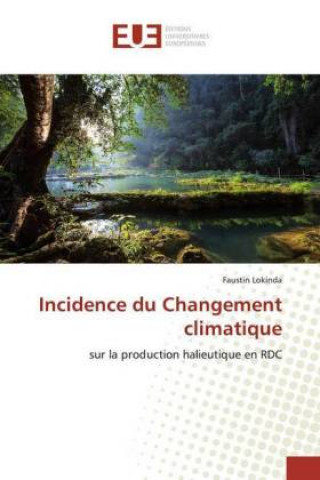 Knjiga Incidence du Changement climatique Faustin Lokinda