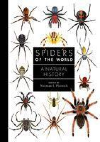 Könyv Spiders of the World Norman Platnick