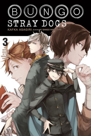 Carte Bungo Stray Dogs, Vol. 3 (light novel) Kafka Asagiri