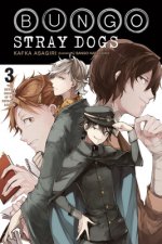Könyv Bungo Stray Dogs, Vol. 3 (light novel) Kafka Asagiri