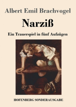 Buch Narziss Albert Emil Brachvogel